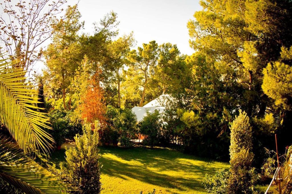 Mont-Sant Hotel Xàtiva Buitenkant foto